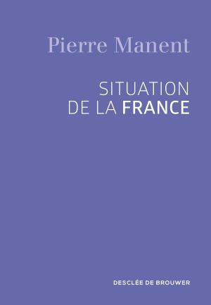 Cover of the book Situation de la France by Régis Debray, Dominique Rousset