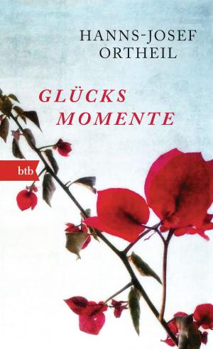 Cover of the book Glücksmomente by Esther Verhoef