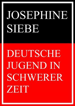 Cover of the book Deutsche Jugend in schwerer Zeit by Brigitte Gschwandtner