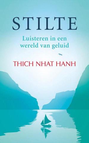 Cover of the book Stilte by Gerda van Wageningen