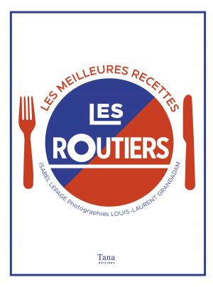 Cover of the book Les routiers by Frédéric VIARD, François DUBOISSET