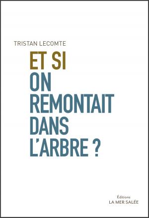 Cover of the book Et si on remontait dans l'arbre ? by Johan Rockström, Mattias Klum