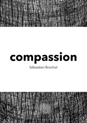 Cover of the book Compassion by Carol Carroll