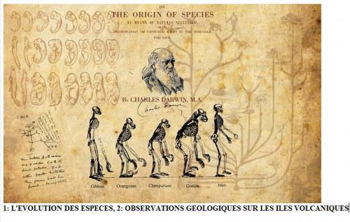 Cover of the book l'évolution des espèces, et Observations géologiques sur les îles volcaniques by Charles Darwin, class