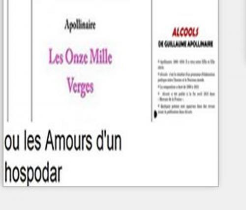 Cover of the book 1 Guillaume Apolinaire: Les Onze mille verges ou les amours d'un hospodar et 2 alcools by Guillaume Apollinaire, class