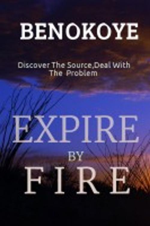 Cover of the book Expire by Fire by Benedict Okoye, Ben Okoye