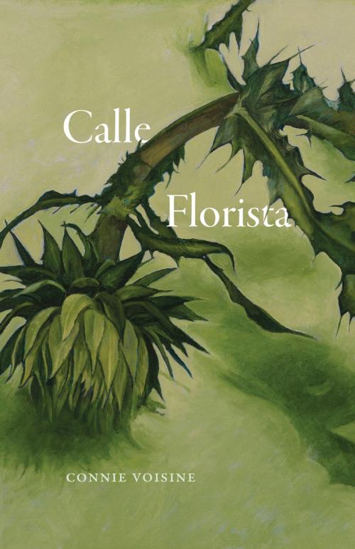 Cover of the book Calle Florista by Connie Voisine, University of Chicago Press