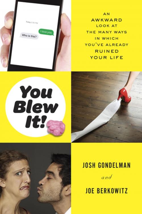 Cover of the book You Blew It! by Josh Gondelman, Joe Berkowitz, Penguin Publishing Group