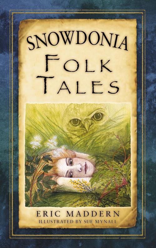 Cover of the book Snowdonia Folk Tales by Eric Maddern, The History Press