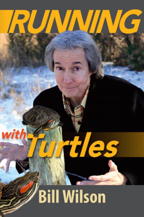 Cover of the book Running With Turtles by Bill Wilson, Metro World Child
