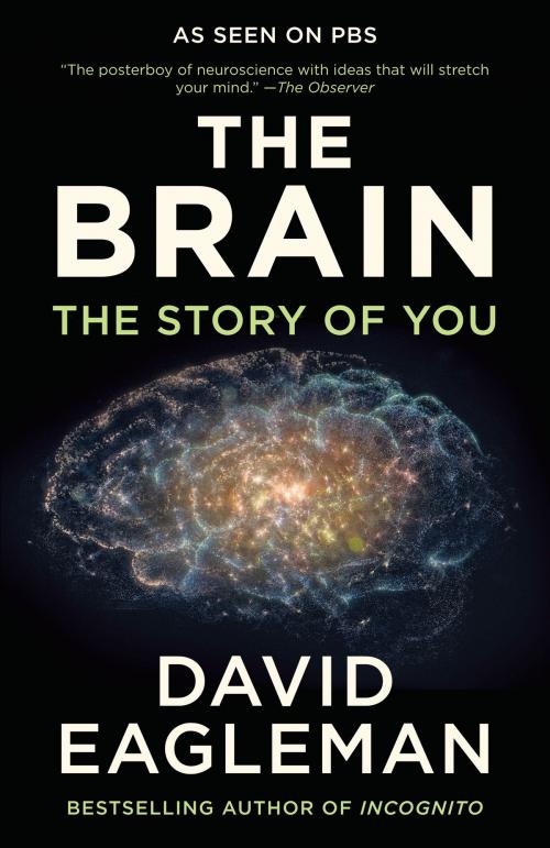 Cover of the book The Brain by David Eagleman, Knopf Doubleday Publishing Group