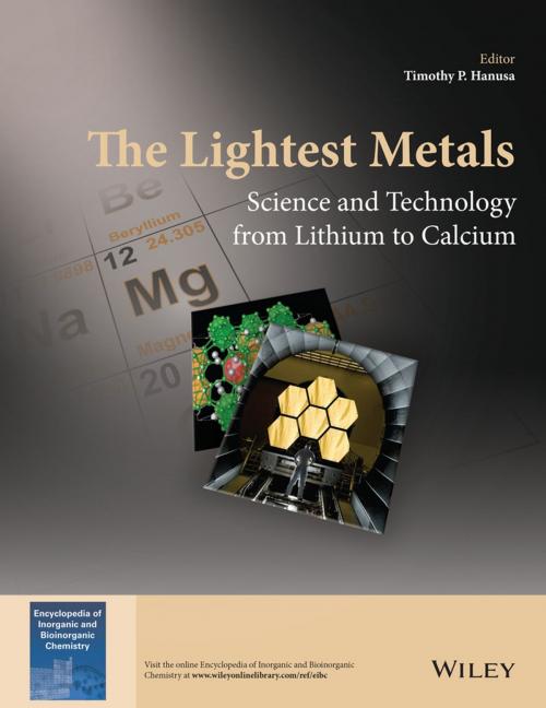 Cover of the book The Lightest Metals by Timothy P. Hanusa, Wiley