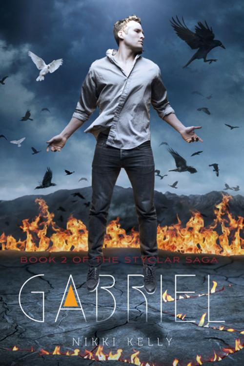 Cover of the book Gabriel by Nikki Kelly, Feiwel & Friends