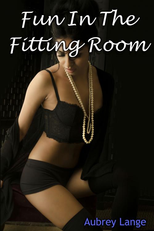 Cover of the book Fun In The Fitting Room by Aubrey Lange, Aubrey Lange