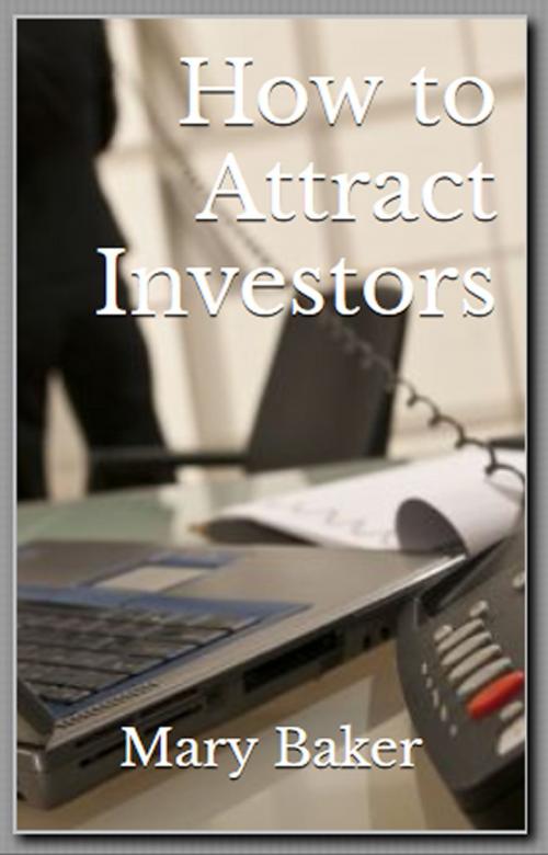 Cover of the book How to Attract Investors by Mary Baker, Mary Baker