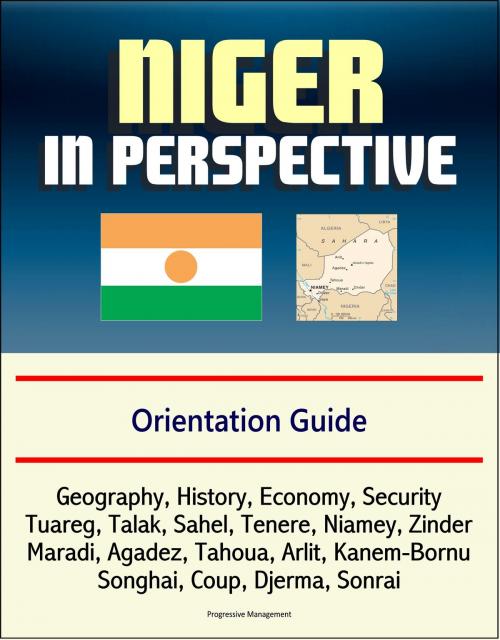 Cover of the book Niger in Perspective: Orientation Guide: Geography, History, Economy, Security, Tuareg, Talak, Sahel, Tenere, Niamey, Zinder, Maradi, Agadez, Tahoua, Arlit, Kanem-Bornu, Songhai, Coup, Djerma, Sonrai by Progressive Management, Progressive Management