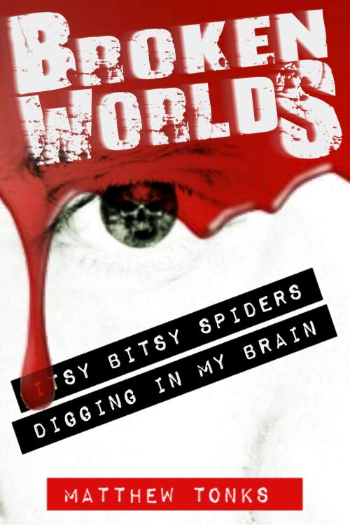 Cover of the book Broken Worlds: Vol 04 - Itsy Bitsy Spiders Digging In My Brain by Matthew Tonks, Matthew Tonks