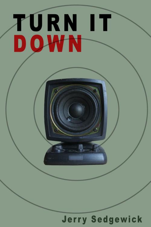 Cover of the book Turn It Down by Jerry Sedgewick, Jerry Sedgewick