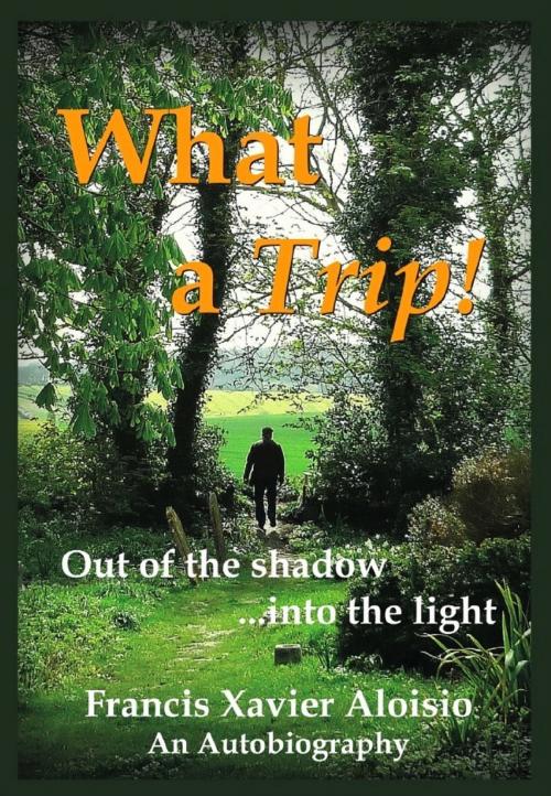 Cover of the book What a Trip!: Out of the shadow...into the light by Francis Xavier Aloisio, Francis Xavier Aloisio