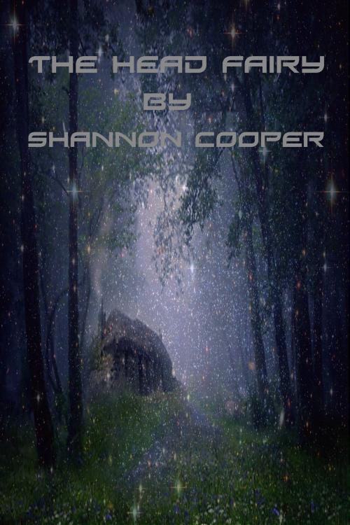 Cover of the book The Head Fairy by Shannon Cooper, Shannon Cooper