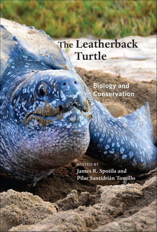 Cover of the book The Leatherback Turtle by , Johns Hopkins University Press