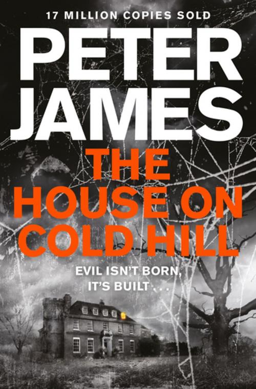 Cover of the book The House on Cold Hill by Peter James, Pan Macmillan