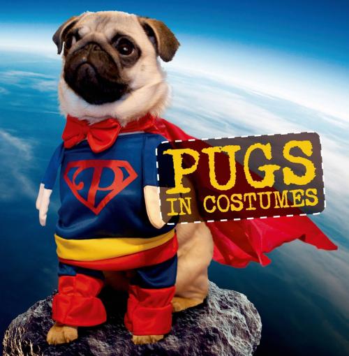 Cover of the book Pugs in Costumes by Virginia Woof, St. Martin's Press