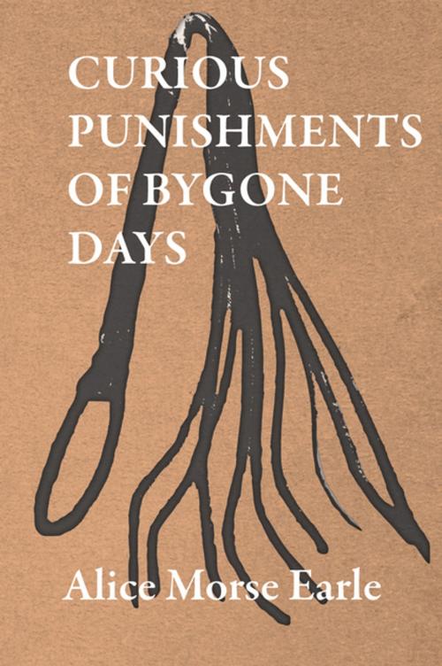 Cover of the book Curious Punishments of Bygone Days by Alice Morse Earle, Read Books Ltd.