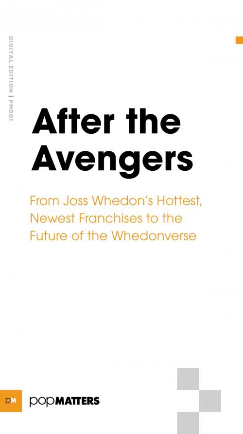 Cover of the book After the Avengers by Popmatters, BookBaby