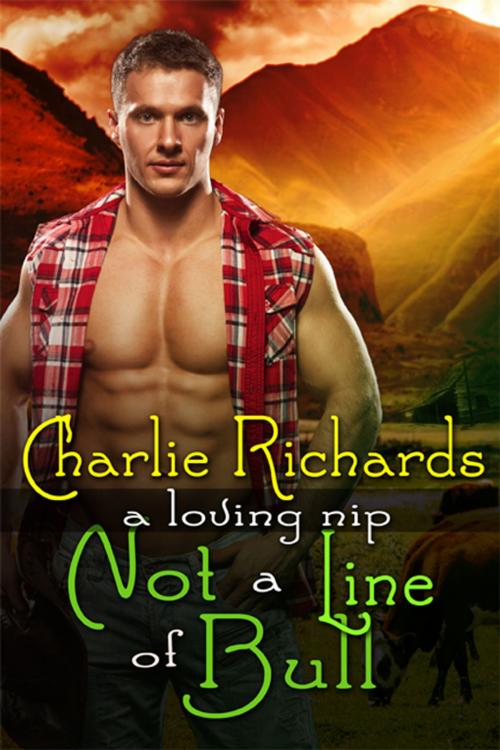 Cover of the book Not a Line of Bull by Charlie Richards, eXtasy Books Inc