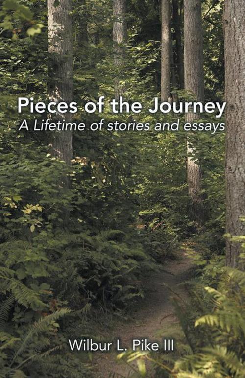 Cover of the book Pieces of the Journey by Wilbur L. Pike III, iUniverse