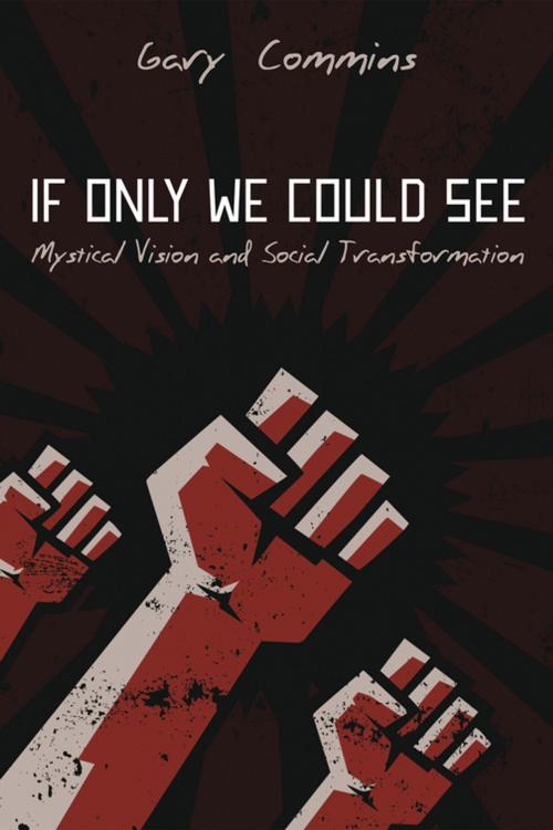 Cover of the book If Only We Could See by Gary Commins, Wipf and Stock Publishers