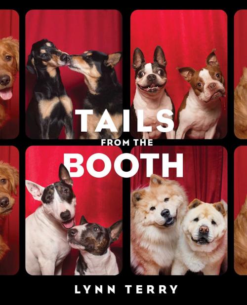 Cover of the book Tails from the Booth by Lynn Terry, Gallery Books