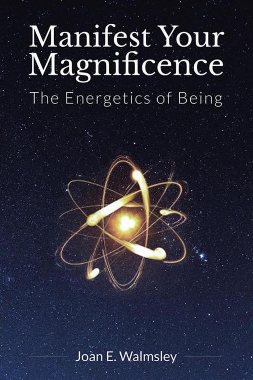 Cover of the book Manifest Your Magnificence by Joan E. Walmsley, Balboa Press