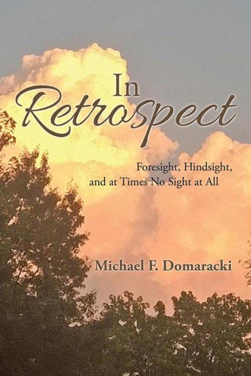 Cover of the book In Retrospect by Michael F. Domaracki, AuthorHouse