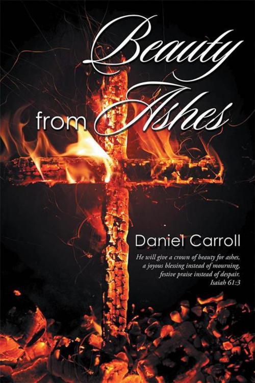 Cover of the book Beauty from Ashes by Daniel Carroll, Xlibris US