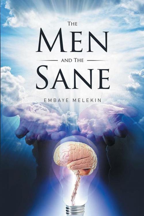 Cover of the book The Men and the Sane by Embaye Melekin, Xlibris UK