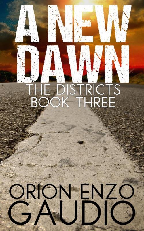 Cover of the book A New Dawn by Orion Gaudio, Outfox Digital Publishing