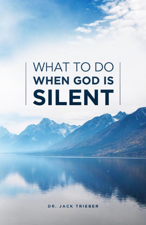 Cover of the book What To Do When God Is Silent by Jack Trieber, North Valley Publications