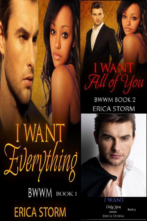 Cover of the book I Want: Everything Box Set by Erica Storm, Erica Storm