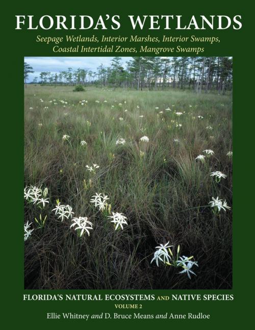 Cover of the book Florida's Wetlands by Ellie Whitney, D Bruce Means, Anne Rudloe, Pineapple Press