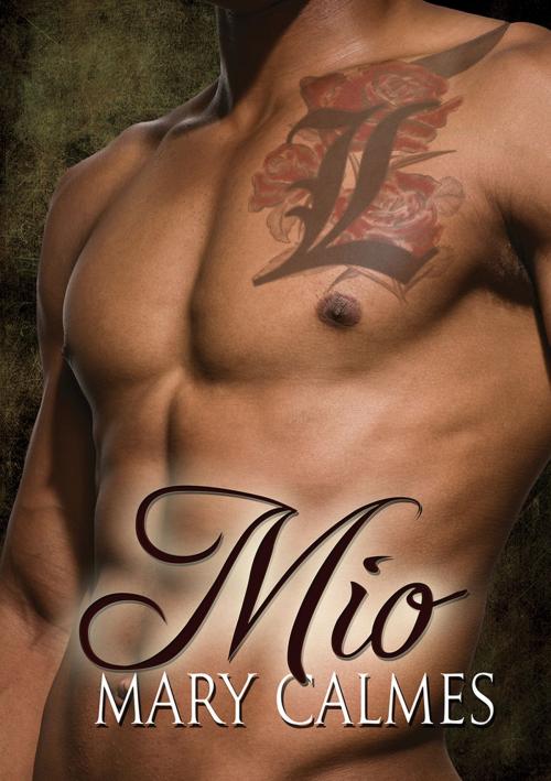 Cover of the book Mio by Mary Calmes, Dreamspinner Press