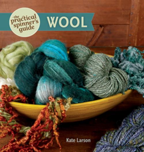 Cover of the book The Practical Spinner's Guide - Wool by Kate Larson, F+W Media