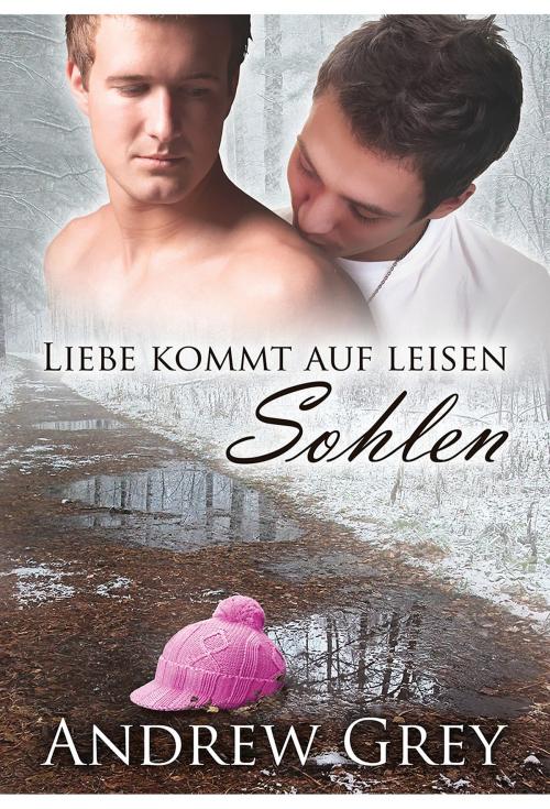 Cover of the book Liebe kommt auf leisen Sohlen by Andrew Grey, Dreamspinner Press