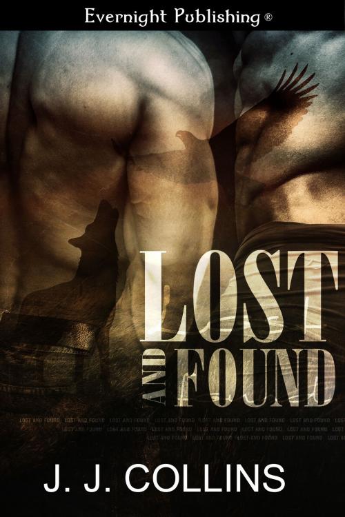 Cover of the book Lost and Found by J.J. Collins, Evernight Publishing