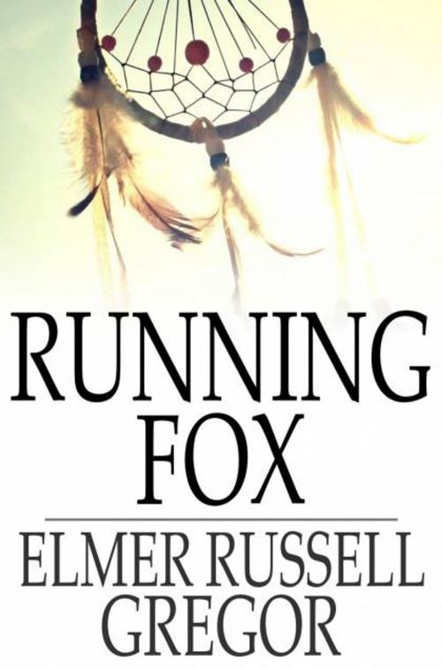 Cover of the book Running Fox by Elmer Russell Gregor, The Floating Press