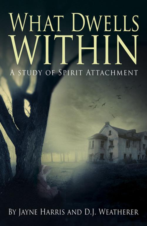 Cover of the book What Dwells Within by Jayne Harris, D. J. Weatherer, John Hunt Publishing