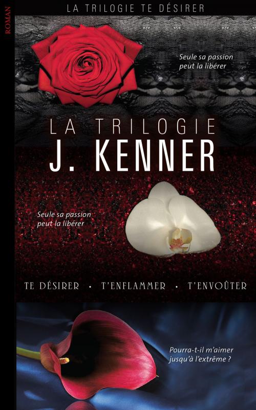 Cover of the book La Trilogie by Julie Kenner, Michel Lafon