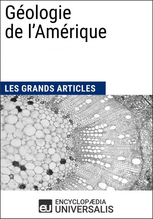 Cover of the book Géologie de l'Amérique by Encyclopaedia Universalis, Les Grands Articles, Encyclopaedia Universalis