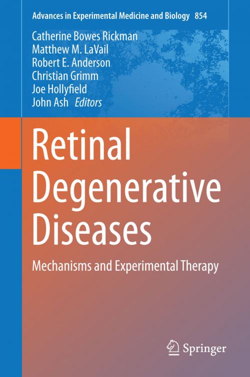 Cover of the book Retinal Degenerative Diseases by , Springer International Publishing